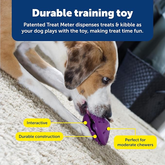 PetSafe Busy Buddy Twist 'n Treat Dispensing Dog Toy, Small | Twist Halves Apart for Quick Treats or Closer for a Challenge, Patented Treat Meter, Top-Rack Dishwasher Safe