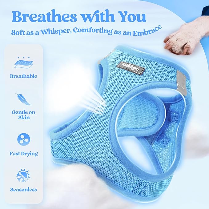 rabbitgoo Dog Harness Medium Sized and Leash Set, Step-in Puppy Pet Vest | Light, Soft, Breathable Air Mesh, Easy on and Remove with Hook & Loop, Secure Reflective for Walking, Blue XXL