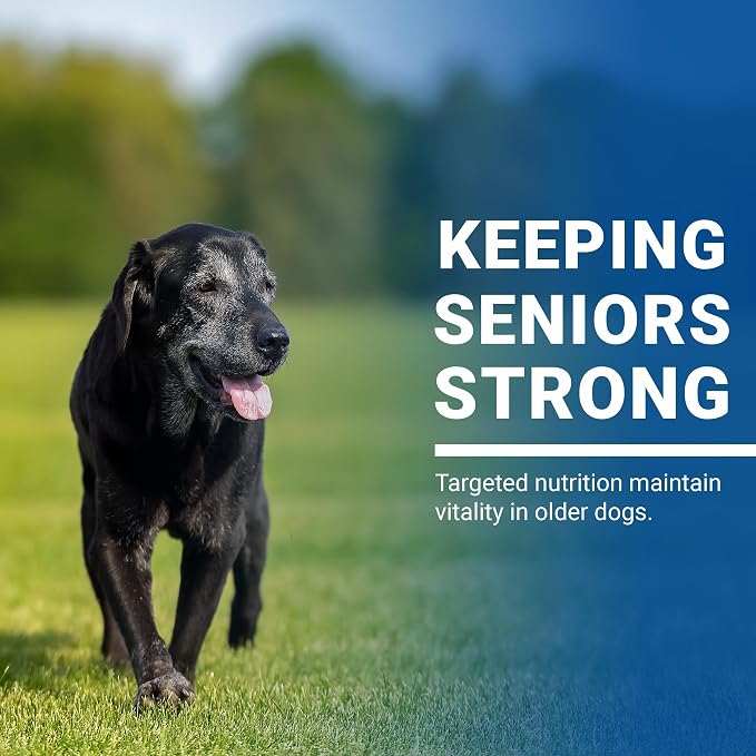 VPS SynovialMax Hip & Joint Soft Chews for Dogs - 240 count