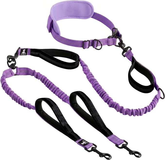 SparklyPets - Hands Free Dual Dog Leash for Medium and Large Female Dogs - Padded Handles, Reflective Stitches, No Pull, Tangle Free - Walking, Hiking, Jogging, Canicross Waist Leash - Purple