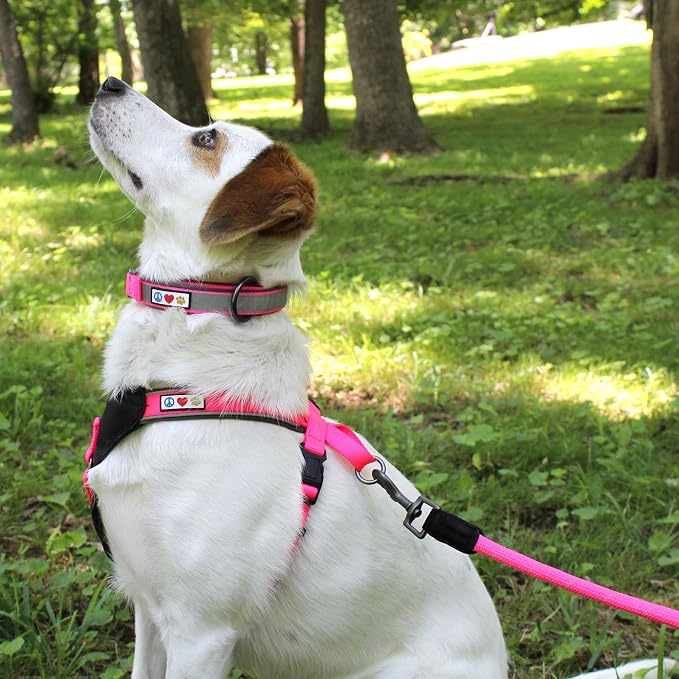 Pawtitas 6FT Training Dog Leash Durable Medium Rope Leash for Dogs Premium Quality Heavy Duty Rope Lead Strong and Comfortable - Purple Puppy Leash