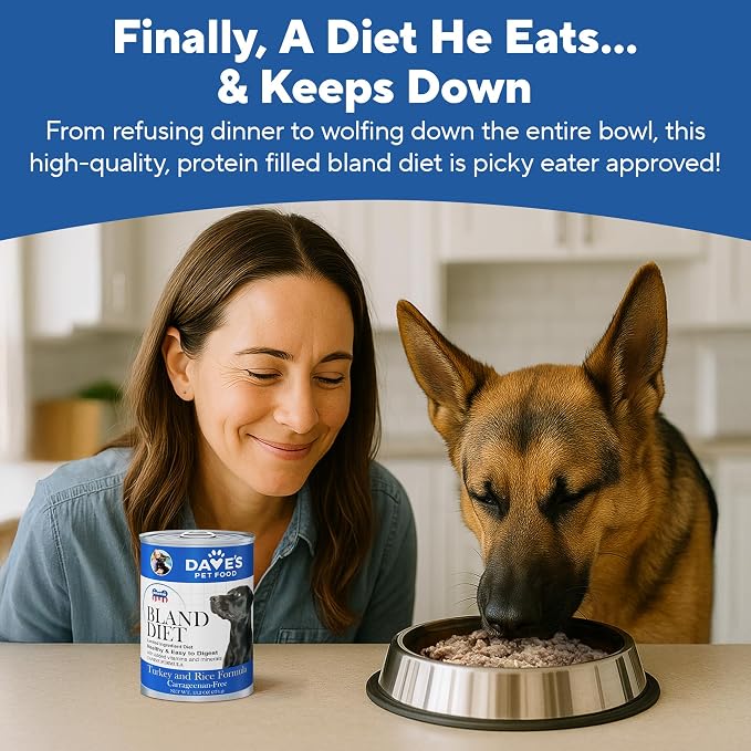 Dave's Pet Food Bland Diet Dog Food, Turkey & Rice, 13.2 oz, 12 pk