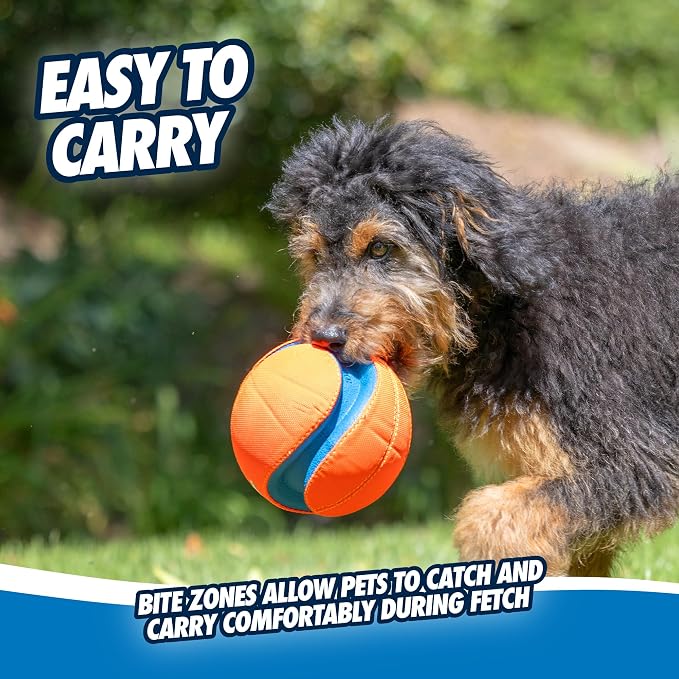 Chuckit! Kick Fetch Ball Dog Toy, Large, 8in, for Large Dogs, Floats | Floats in Water for Interactive Play and Fetch with Large Dogs; Durable Construction Withstands Rugged Outdoor Use