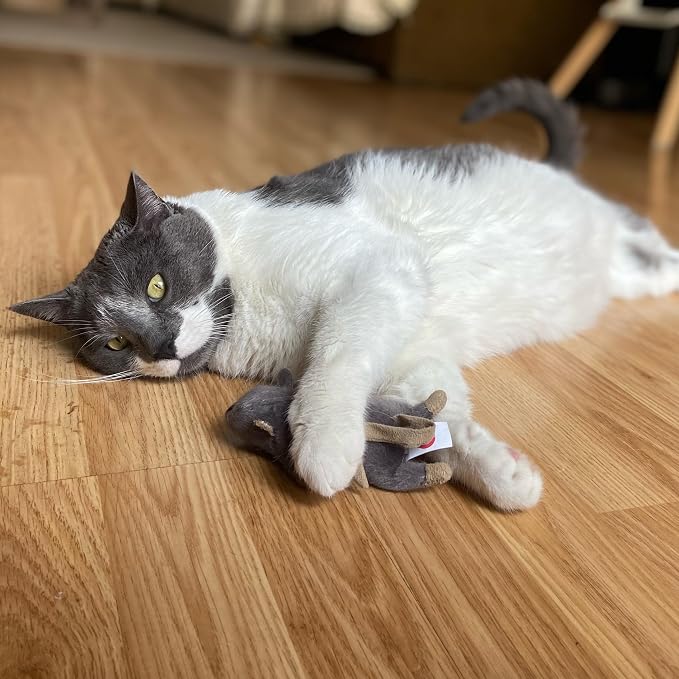SPOT Flat Mouse Frankie with Catnip - Cat Toy, Fuzzy Mice with Catnip and Crinkle Sound, Perfect Size for Pouncing on, Chasing, Hunting - 5.5in Plush Toys, Assorted Colors (Pack of 2)