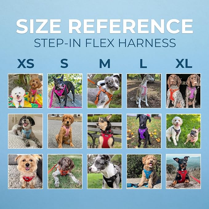 Voyager Step-in Flex Adjustable Dog Harness - Fuchsia, X-Large | 23 - 28" in Chest, Fully Adjustable, Reflective Bands, All Weather Breathable Air Mesh, Lightweight, Fast Drying