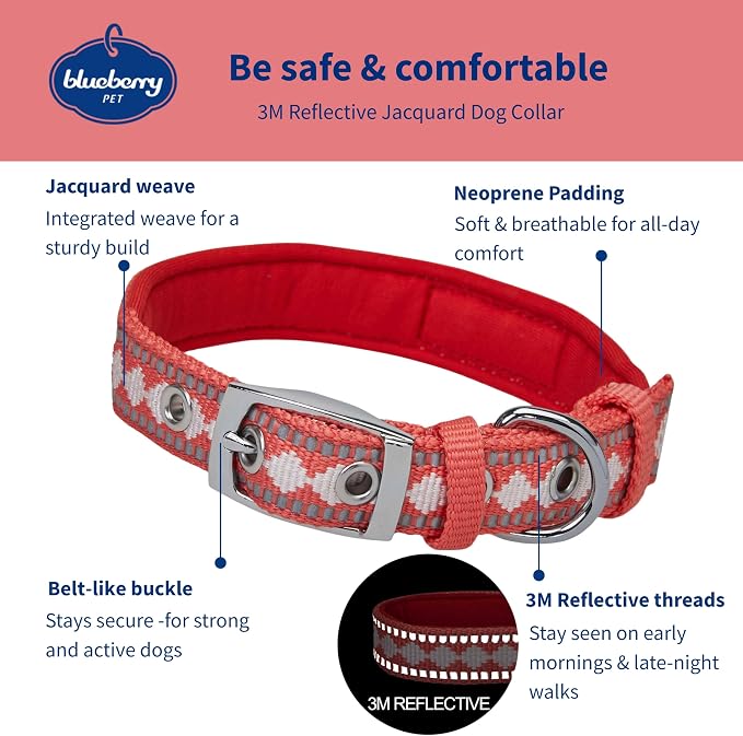 Blueberry Pet Reflective Jacquard Dog Collar with Neoprene Padding & Metal Buckle | Soft & Adjustable Safety Collar - Coral, Neck 13-16.5", for Medium Breed