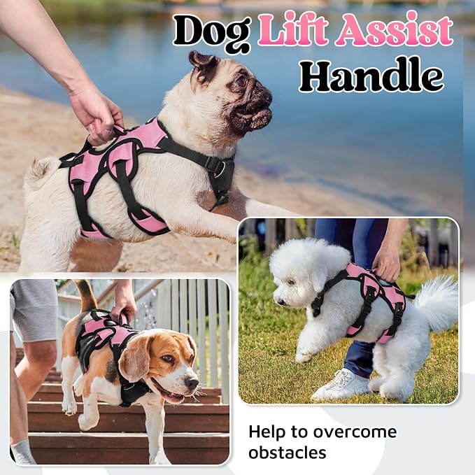 rabbitgoo Escape Proof Dog Harness for Small, No Pull with Lift Handle | No Escape, Full Soft Padded, Reflective Adjustable Vest, Leash Clip for Walking Hiking Training, Pink, Small