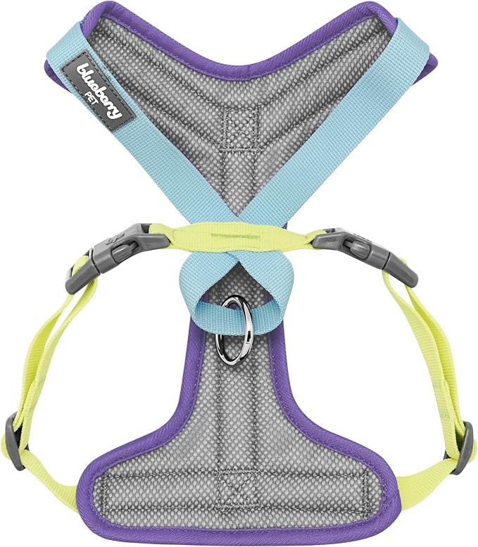 Blueberry Pet Vibrant Mesh Padded Ultra Cool Lightweight Dog Harness Vest in Mint, Extra Large, Neck 24", Chest 29½"~35"