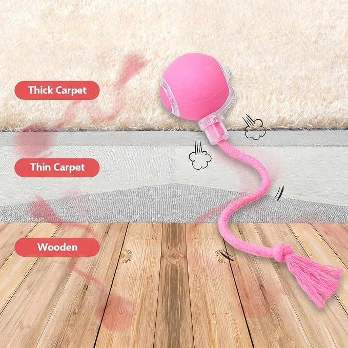 Speed 2.0 Tail Interactive Cat Toys, Rechargeable Ball for Indoor Cats | Motion-Activated Rolling Ball with Chirping Sounds, Cat Toys Interactive for Kittens and Adult Cats, Enrichment and Exercise