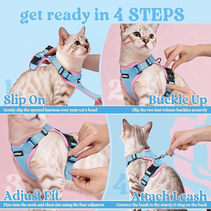 rabbitgoo Cat Harness and Leash Set, Escape Proof Vest, Light Blue & Pink | Soft Breathable Mesh, Easy Adjustable Fit, Snap Buckles, Sturdy Clip, Reflective Strips, for Kittens & Small Cats Walks, Xxs