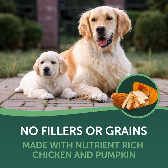 HEALTHFULS Healthfuls Digestive - Chicken & Pumpkin Recipe