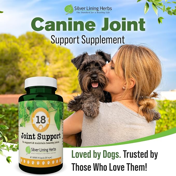Silver Lining Herbs Dog Joint Supplement, Mobility & Comfort - 90 Ct