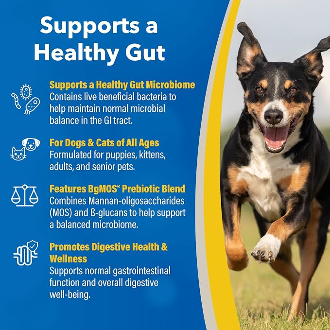 Doc Roy's GI Synbiotics Prebiotic & Probiotic Gel for Dogs & Cats, 30mL