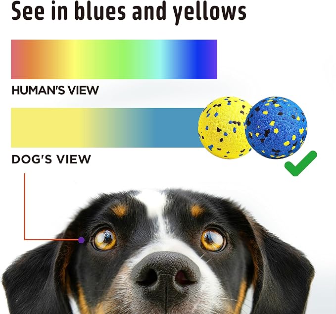 Kimee Dog Tennis Balls for Aggressive Chewers, Floating