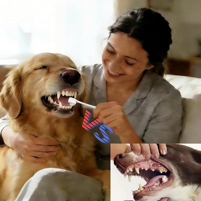 CGO Large Canine Toothbrush 4-piece Set with Ultra-Soft Wavy bristles Design, Gentle Cleaning, Suitable for Large Dogs to Carry During Travel. Includes 4 Individually Packaged toothbrushes