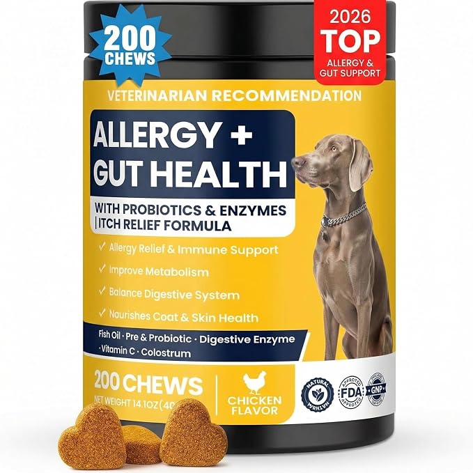 Dog Allergy Chews for Dogs, Itchy Skin & Paw Licking Support, Probiotics for Dogs, Immune & Gut Health, Seasonal Allergy Support, Skin & Coat Health, Chicken Flavor Soft Chews, 200 Ct