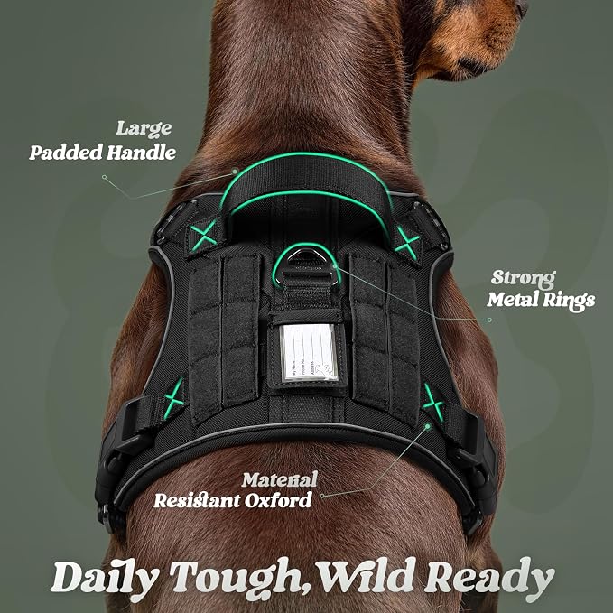 rabbitgoo Tactical Dog Harness Medium Sized, No Pull Service Pet Vest | Military Molle System & Easy Control Handle, Adjustable and Reflective for Walking and Training, Black, Medium
