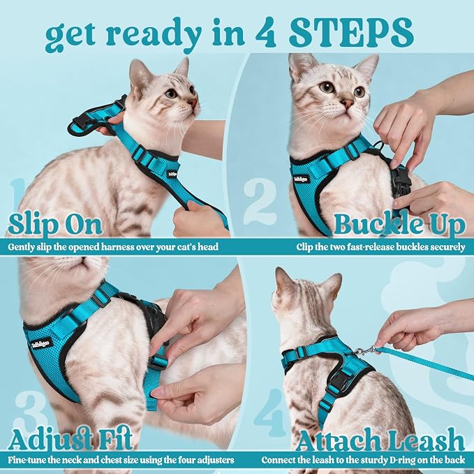 rabbitgoo Cat Harness and Leash Set, Escape Proof Vest, Teal | Soft Breathable Mesh, Easy Adjustable Fit, Snap Buckles, Sturdy Clip, Reflective Strips, for Medium to Large Cats Walks, M