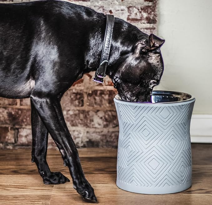 Pet Junkie Santa Fe Single Elevated Dog Bowl Stand with Removable Stainless Steel 44oz Inner Bowl for Medium to Large Breed - Raised Dog Food or Water Station (Large, ICY Gray)