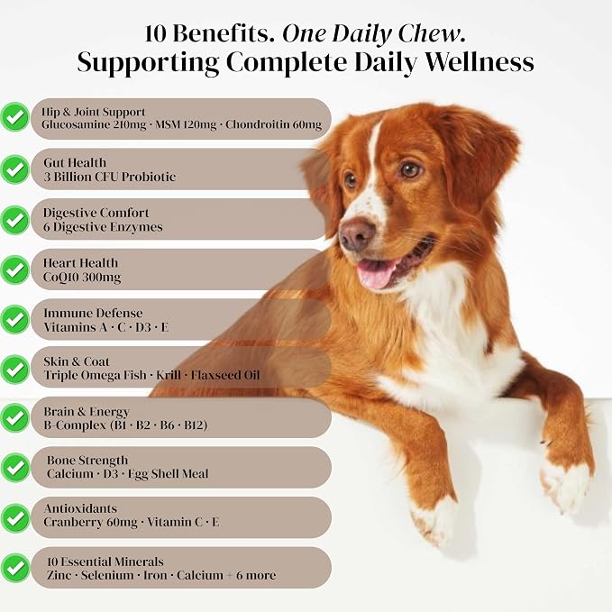 Dog Multivitamin Chews 10-in-1 - Glucosamine Probiotics 3 Billion CFU Omega CoQ10 - Dog Vitamins for Joint Immune Gut Skin Coat - 90 Soft Chews