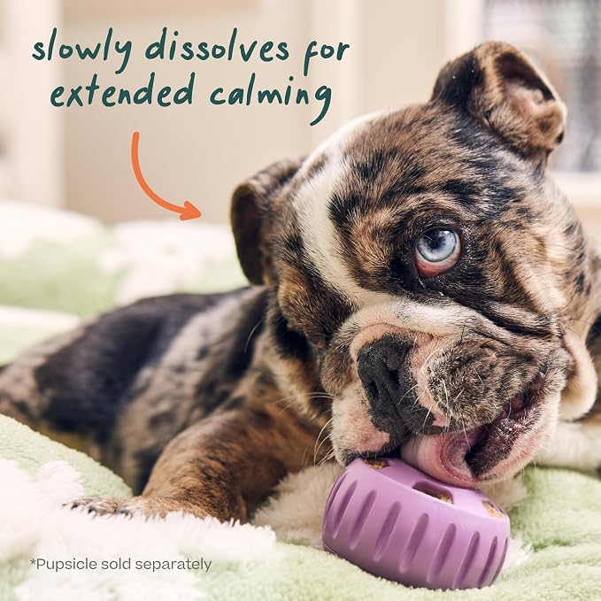 WOOF Pupsicle Refill Pops for Calming, 10-Pack, Small