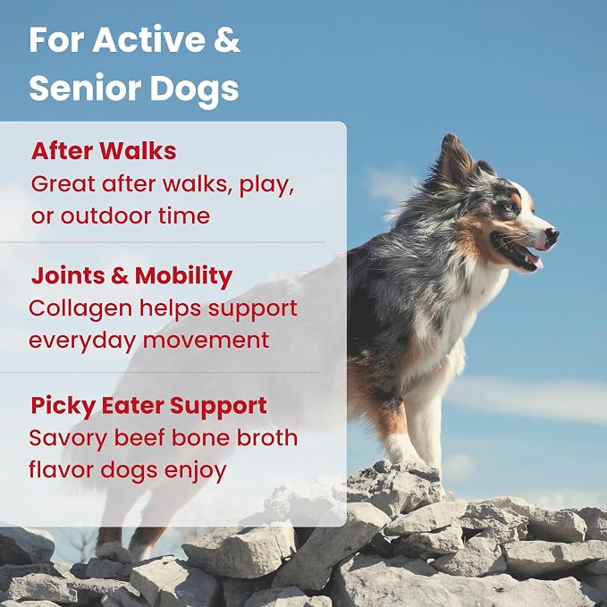 Electrolytes for Dogs with Protein – Hydration & Mobility Support with Collagen – Made with Real Beef Bone Broth – Dog Food Topper for Picky Eaters – 14 Sticks