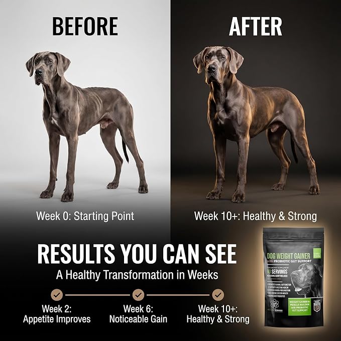 Dog Weight Gainer with Probiotic Gut Support - Weight Gain Supplements for Dogs - Canine and Dog Muscle Builder - 90 Servings - Made in The USA