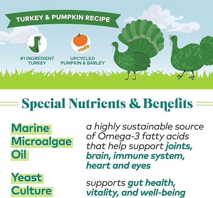 Honest to Goodness Protein Bites Turkey & Pumpkin Dog Jerky, 5.5 oz