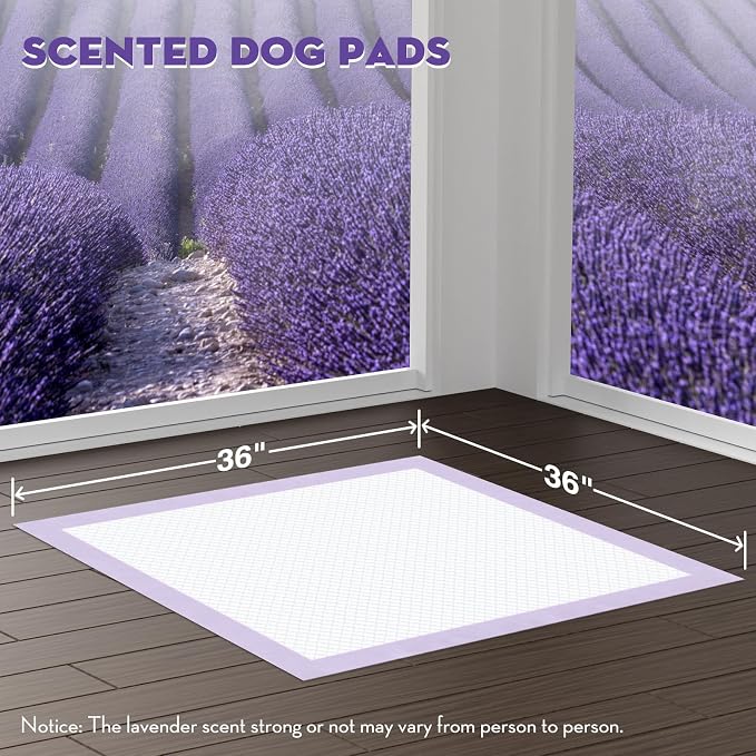 CROCI Charcoal Pee Pads for Dogs 30x36in 35 Counts, Lavender Dog Pads 36x36in 30 Counts