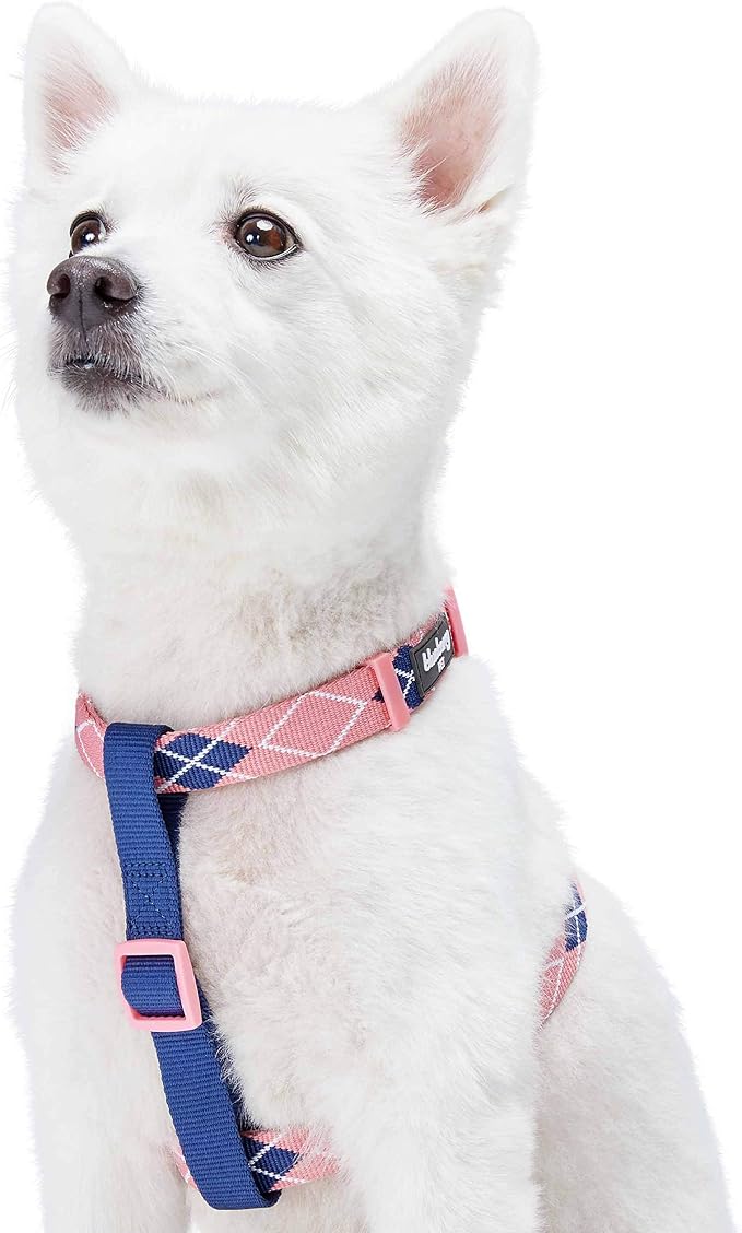 Blueberry Pet Scottish Argyle Dog Harness, Pink, Medium, Adjustable Harnesses for Dogs