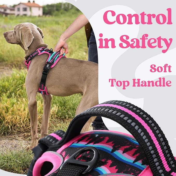 rabbitgoo Dog Harness for Large, Updated Easy On & Off with 3 Buckles | No Pull No Choke, Walking with 2 Clips and Handle, Adjustable Soft Reflective, Mountain Rose, X-large