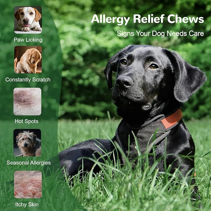 Dog Allergy Chews for Itchy Skin, Paw Licking & Immune Support - 150ct