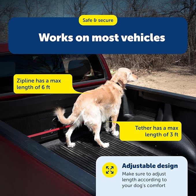 PetSafe Happy Ride Dog Zipline Car Leash | Secures Dog in Backseat While Allowing Mobility, Reduces Driver Distraction, Durable Nylon, Fits Most Vehicles, All Dog Sizes