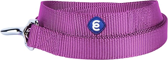 Blueberry Pet Essentials Violet Dog Leash for Large - 4' * 1" Dogs | Heavy Duty Nylon Lead | Lightweight Puppy & Cat Leash for Walking & Training