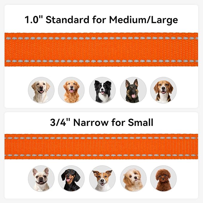 Joytale Reflective Dog Leash for Small Dogs, 5 FT x 3/4", Orange | Heavy Duty Nylon Webbing, Padded Handle for Comfort, Visible at Night, for Walking & Training