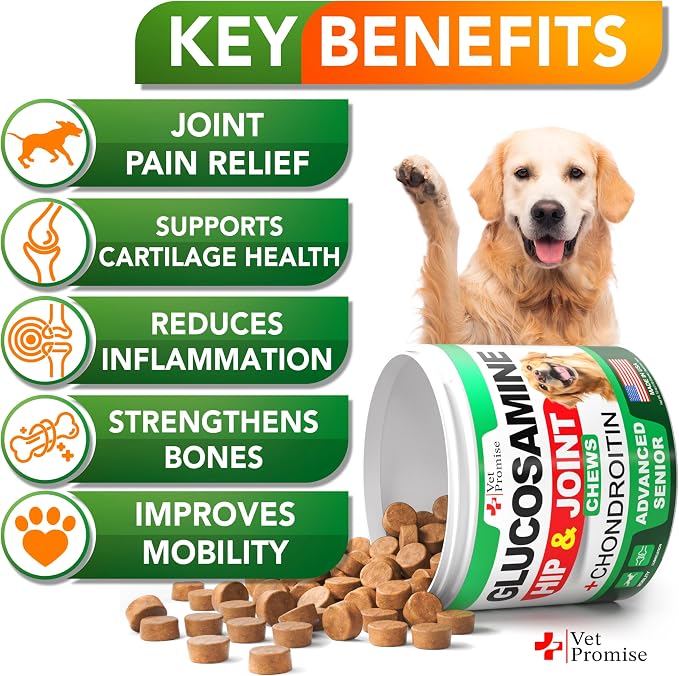 Glucosamine for Dogs - 170 Chews - Senior Hip and Joint Supplement for Dog