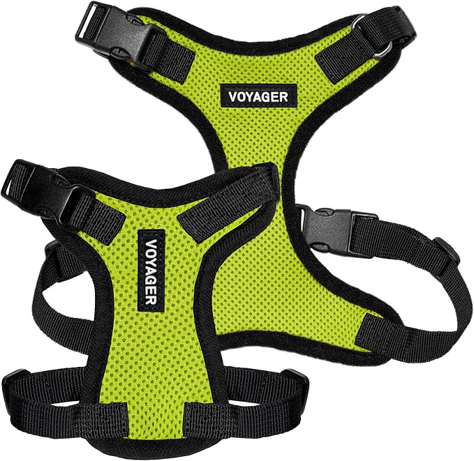 Voyager Step-in Lock Dog Harness - Lime Green/Black Trim, Small | 15 - 18" in Chest, Adjustable, Breathable Air Mesh, Lightweight for Daily Walks, Strong Clips, Heavy Duty D-Ring