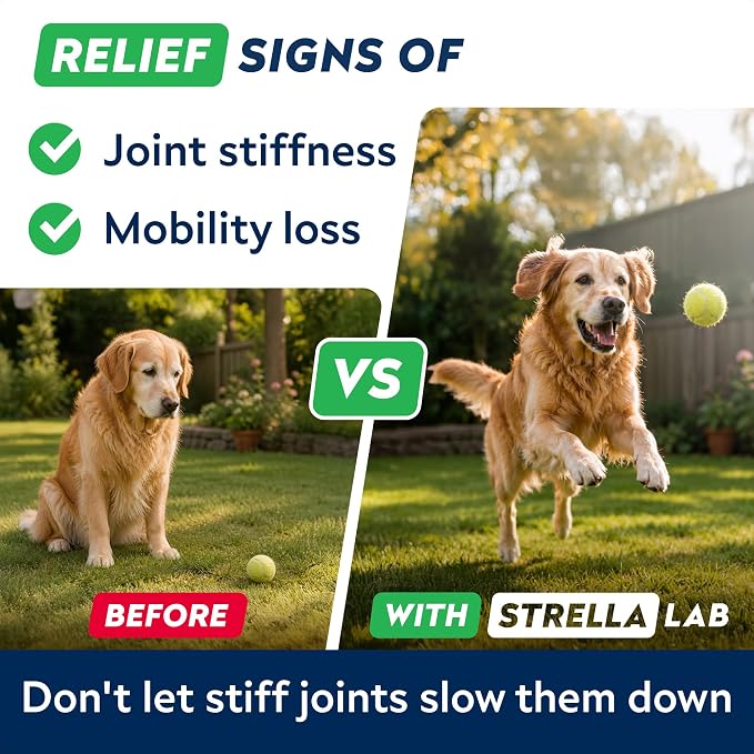 Advanced Hip Joint Supplement for Dogs, Chondroitin & MSM Hip Joint Chews