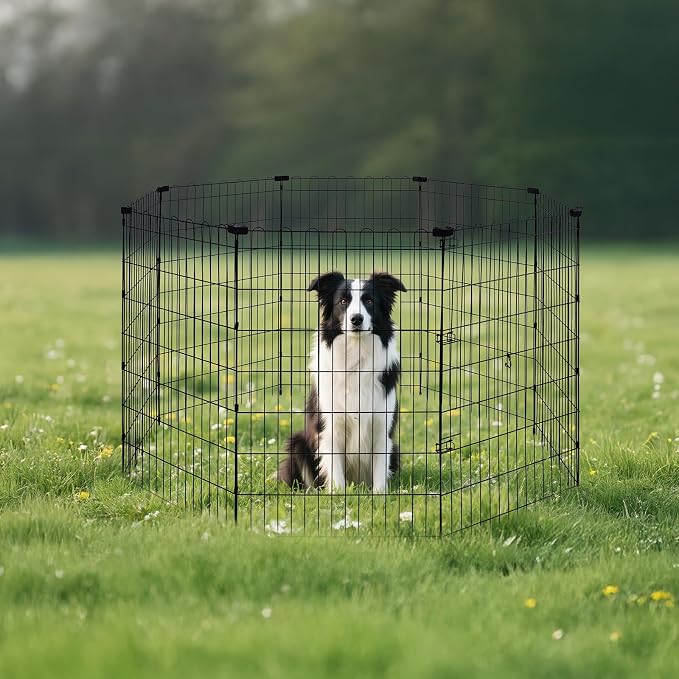 Amazon Basics Foldable Octagonal Metal Exercise Dog Playpen, Indoor/Outdoor, No Door, 8 Connected Panels, Large, 42 Inches Height, Black