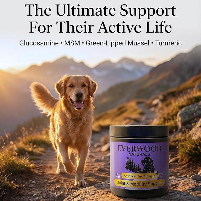 Premium Joint & Mobility Support Soft Chews for Dogs – Glucosamine, MSM, Green Lipped Mussel & Turmeric – Dog Hip & Joint Supplement – 60 Soft Chews