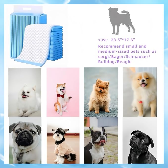 dog pee pad - Medium (23.5" x 17.5") | 6-Layer Leak-Resistant Design | High-Capacity Absorbent Core & Quick-Dry Surface (Medium, Count, 100)