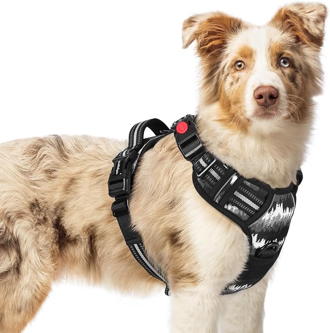 rabbitgoo Dog Harness Medium Sized, Updated Easy On & Off with 3 Buckles | No Pull No Choke, Walking with 2 Clips and Handle, Adjustable Soft Reflective, Mountain Black, Medium
