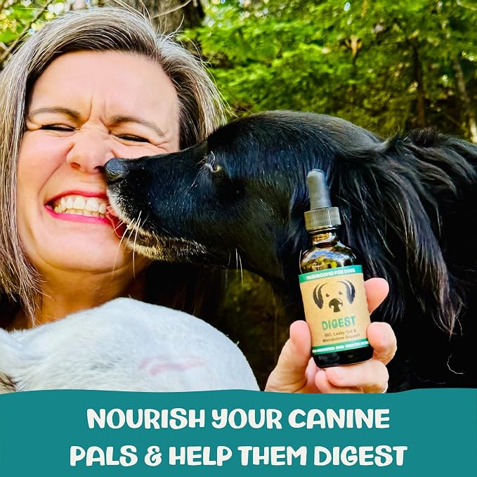 MycoDog Digest, Digestive Mushroom Supplement for Dogs for Healthy Poop