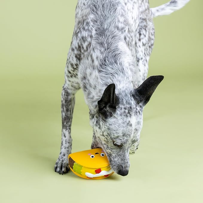 Fringe Studio WHATCHU Taco ‘Bout Latex Dog Toy, Pet Shop Collection (366020)