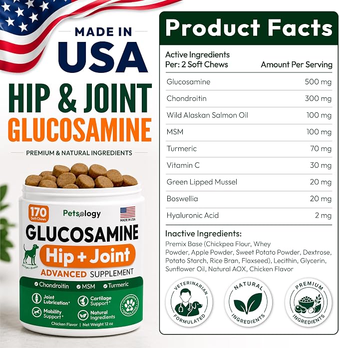 Glucosamine for Dogs, 170 Chews, Hip and Joint Supplement for Dogs | Glucosamine Chondroitin for Mobility - MSM & Turmeric - Joint Pain Relief - Advanced Joint Support for Dogs - Made in USA