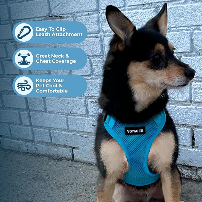 Best Pet Supplies Voyager Step-in Lock Pet Harness w Reflective Pet Leash Combo Set with Neoprene Handle 5ft - Supports Small, Medium and Large Breed Puppies/Cats - Turquoise Set, S