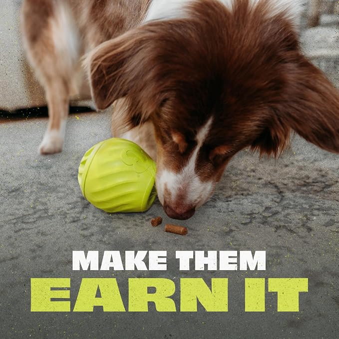 Benebone Ball/Bone Medium/Pawbler Rubber Pet Toys, 3-Pack | Durable Rubber Dog Toys, Boredom Buster, Natural Rubber