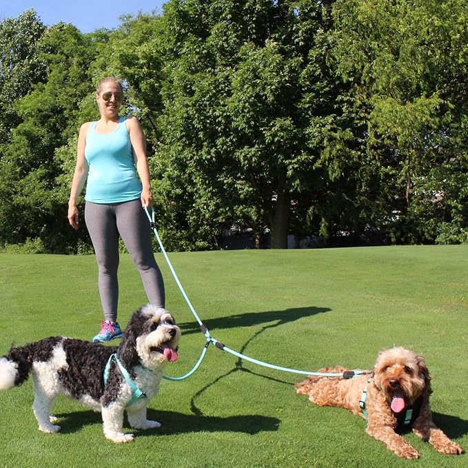 Pawtitas Double Leash for Two Dogs Great for Walking & Training Comfortable Shock Absorbing Reflective Pet Rope Leash for 2 Dogs 6ft - Medium/Large - Red