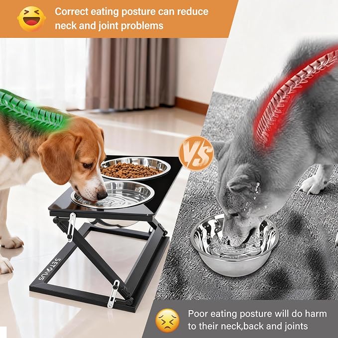 Elevated Dog Bowls, Adjustable Raised Dog Bowl Stand with 2 Stainless Steel Food Bowls 20°Tilted Water Bowls for Medium Small Sized Dogs (Black, Medium)