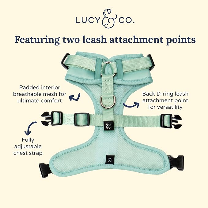 Lucy & Co. The Spring Green No-Pull Dog Harness - Size Small- Vest to Stop Pulling & Walk Easy - Comfortable Leash Training Product w/Adjustable Chest & Neck Straps